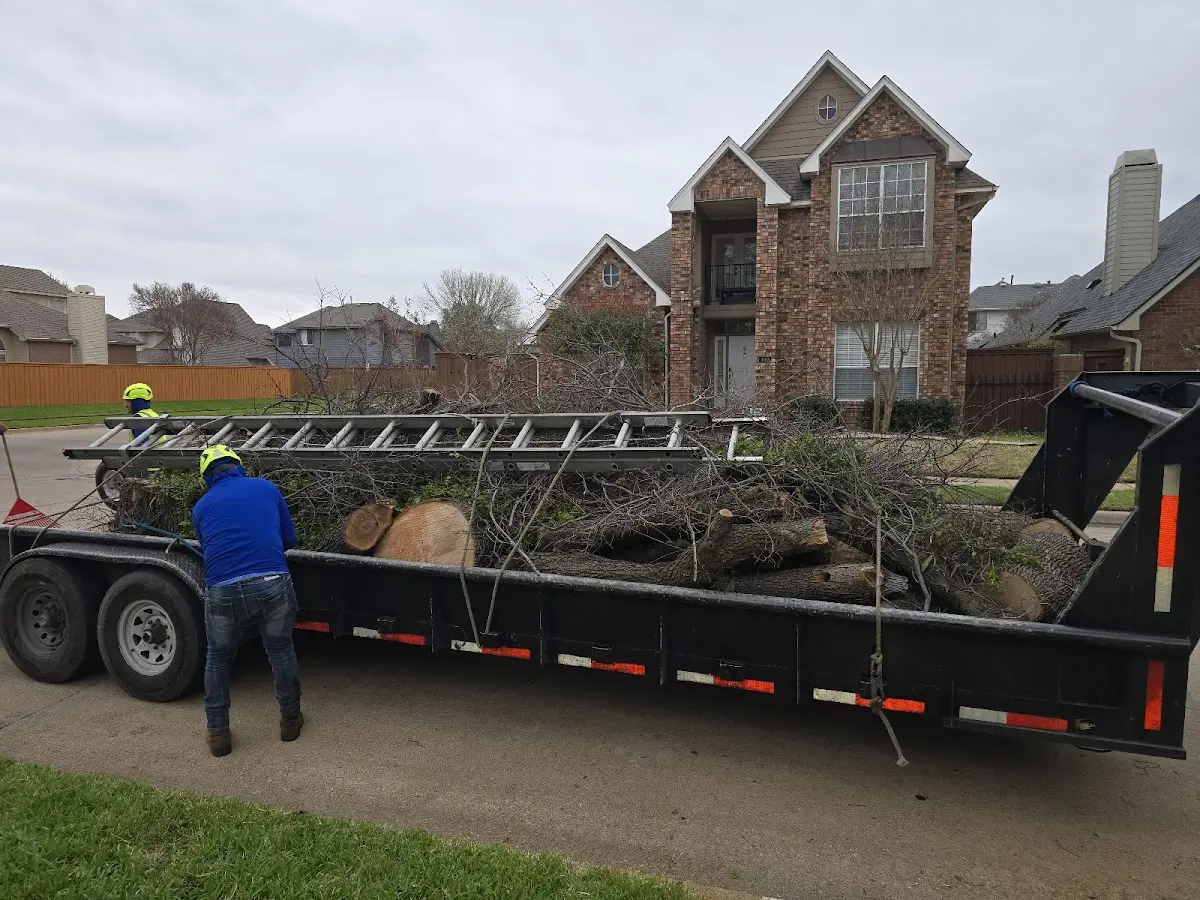 Expert Lot Clearing with proper safety equipment in Jamison